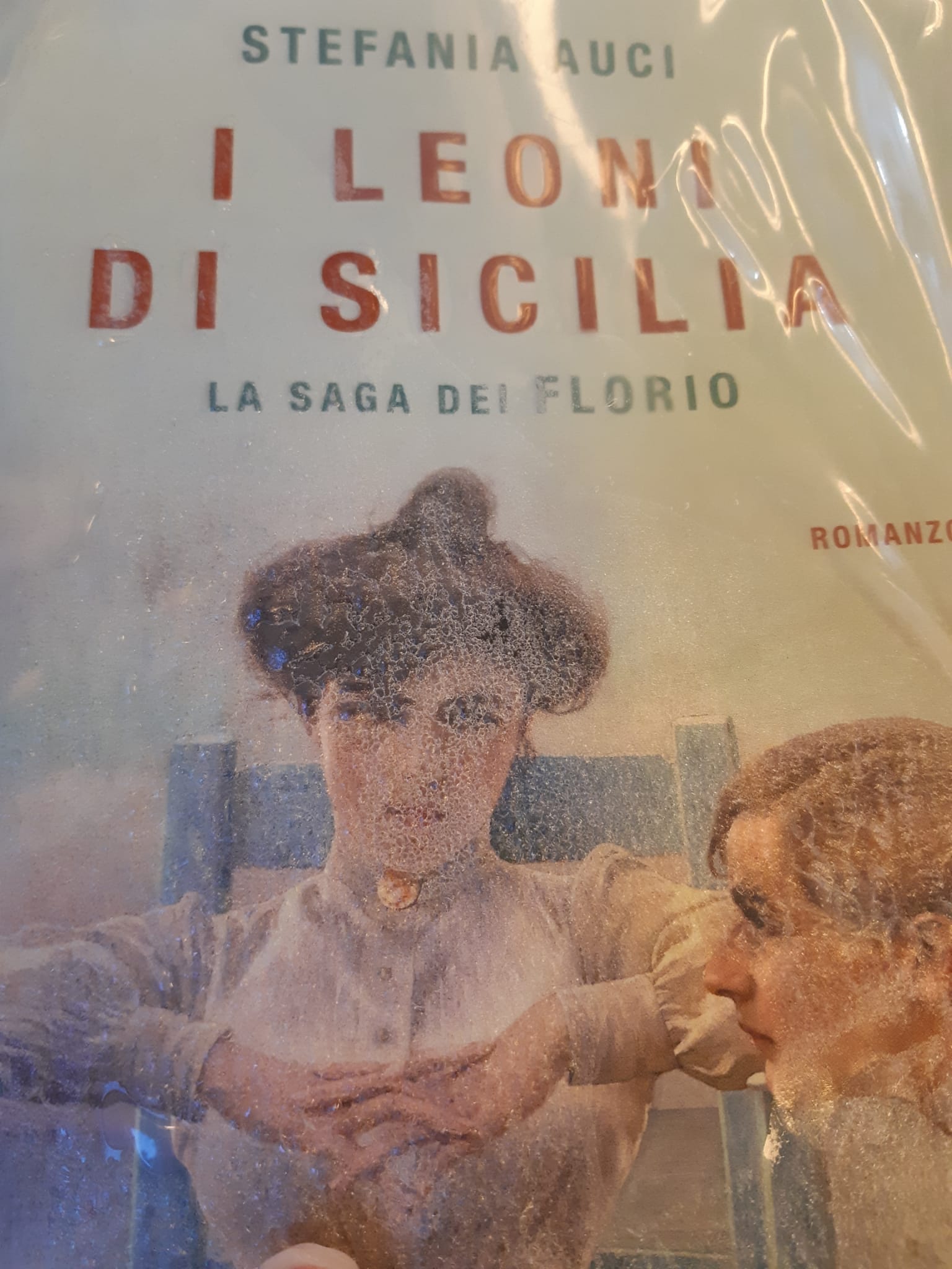 IL LIBRO DELLA SETTIMANA/ I LEONI DI SICILIA -La saga dei Florio - In Verde  con Stile blog